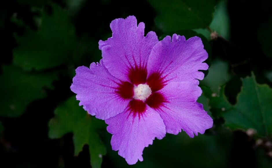 Centrepoint to cut ties with Sharon Osbourne after she backs Tommy Robinson rally