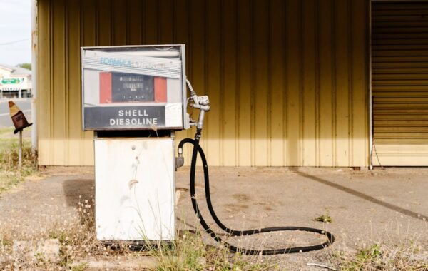 Miriam Margolyes Made Me Me review — an unusually intimate portrait