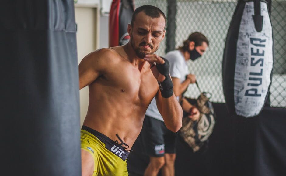 McGregor to fight Holloway in UFC return in July