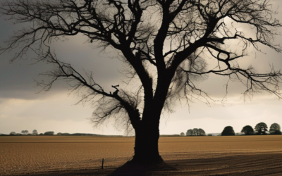 Cooler conditions on way for parts of UK – but still no rain for drought-hit areas